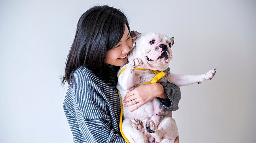 可愛扁臉狗的健康隱憂-短吻犬症候群是什麼-短鼻犬的健康檢查與照顧貼士